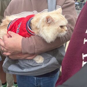 Meet your Posher, Melanie